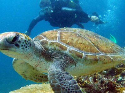 1_desportos_nauticos_1 1_desportos_nauticos_1