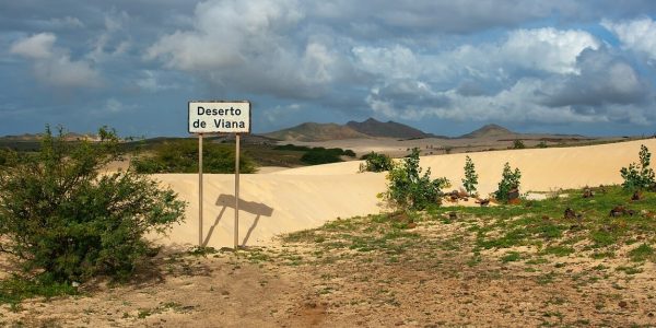 Boa-Vista-Deserto-Viana