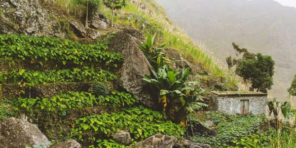 Santo-Antao-Paisagem