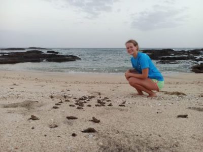 cabo_verde_ferias_em_cabo_verde_na_ilha_brava_baleias_tartarugas_e_o_esplendor_da_natureza_marinha_6jpg cabo_verde_ferias_em_cabo_verde_na_ilha_brava_baleias_tartarugas_e_o_esplendor_da_natureza_marinha_6jpg