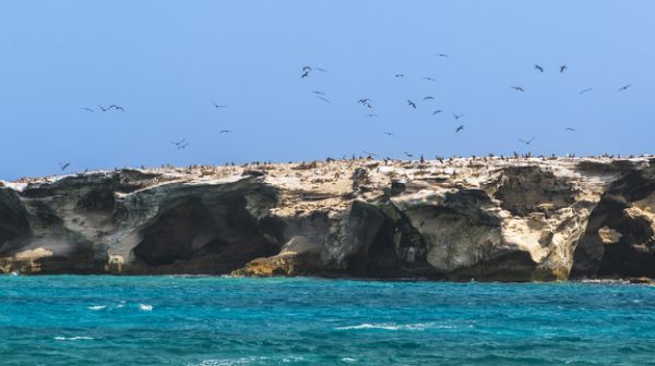 ilha_da_boa_vista_cabo_verde_15