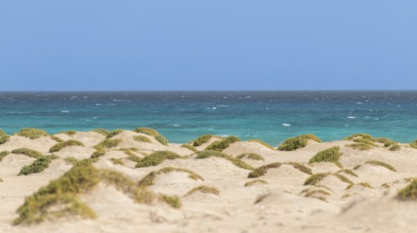 ilha_da_boa_vista_cabo_verde_4