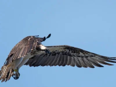 voluntariado_ambiental_em_cabo_verde_5 voluntariado_ambiental_em_cabo_verde_5