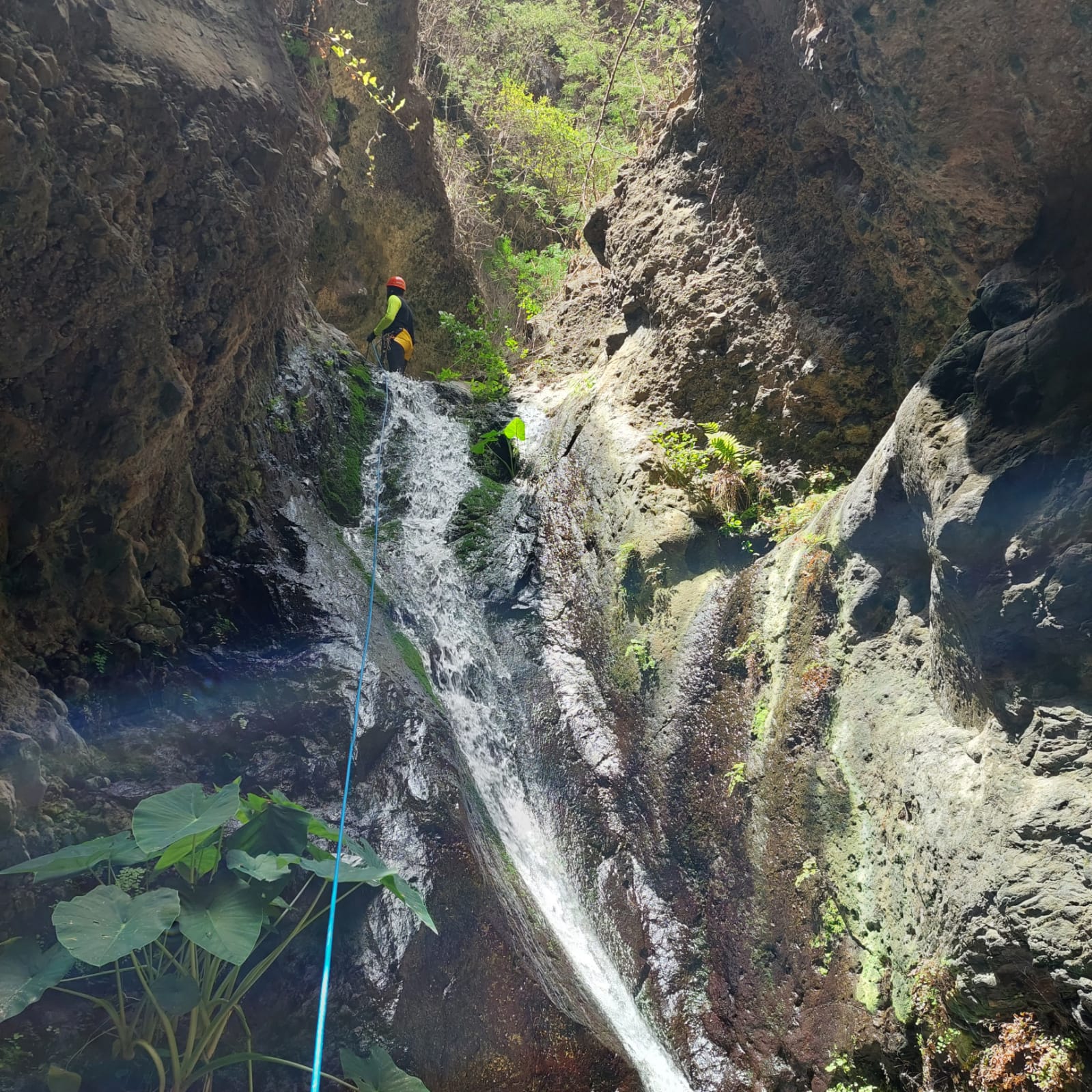 Canyon