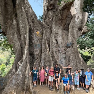 STTour21